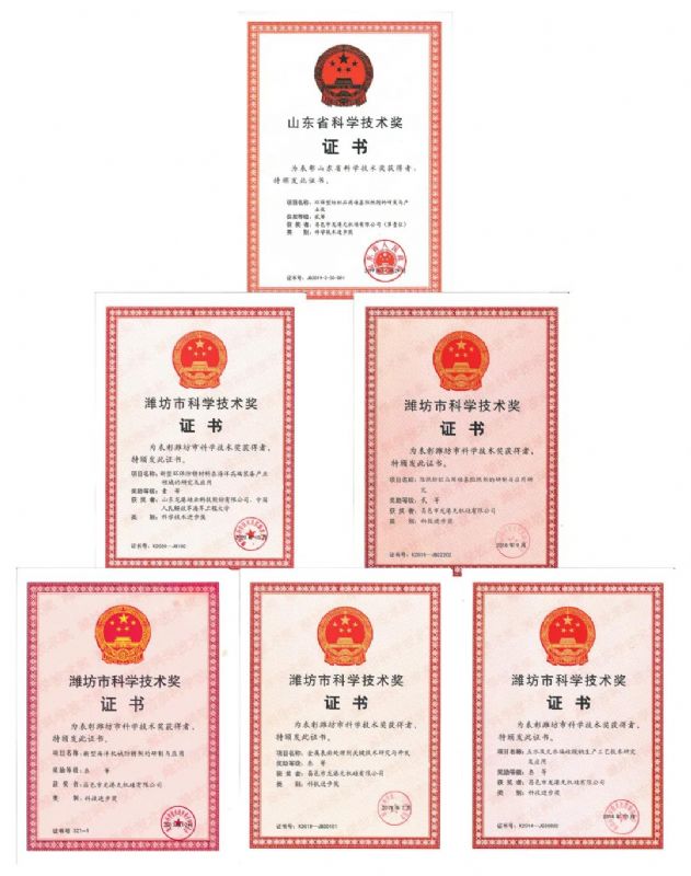 [good news] Longgang silicon Co., Ltd. won the first prize of Weifang Science and Technology Progress Award！