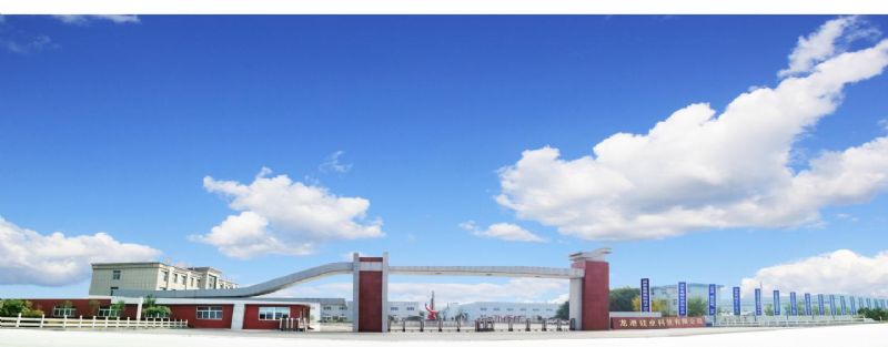 回首過去，不忘初心；展望未來，砥礪前行丨2019，龍港再出發(fā)！