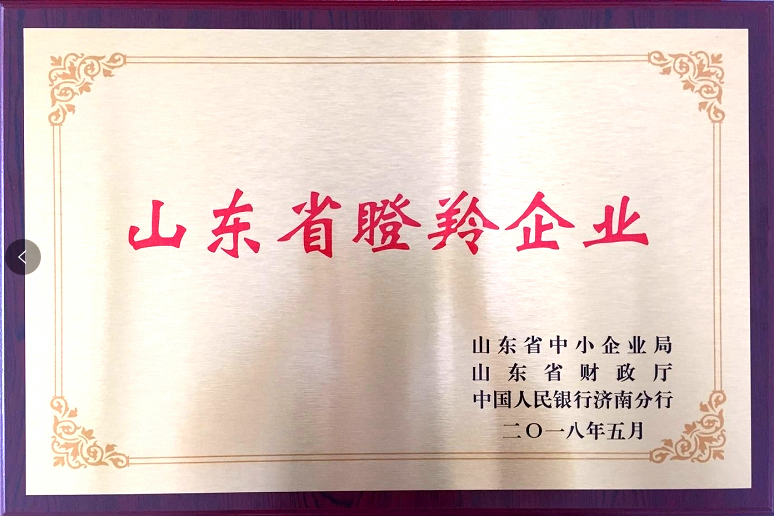 回首過去，不忘初心；展望未來，砥礪前行丨2019，龍港再出發(fā)！