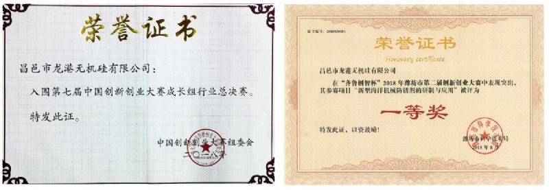 回首過去，不忘初心；展望未來，砥礪前行丨2019，龍港再出發(fā)！