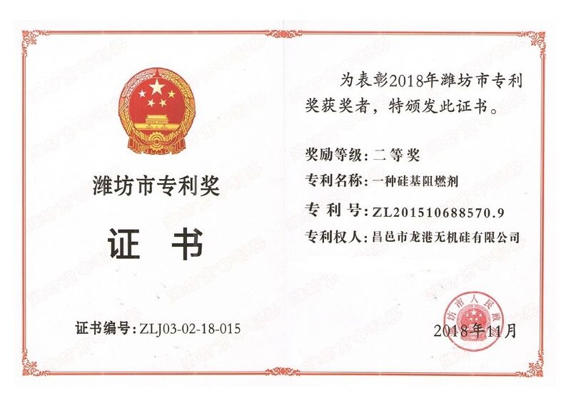 回首過去，不忘初心；展望未來，砥礪前行丨2019，龍港再出發(fā)！