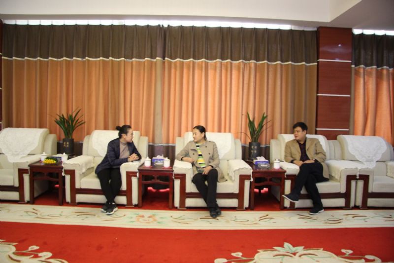 市政府副市長曲偉調(diào)研龍港新材料省重點項目建設情況