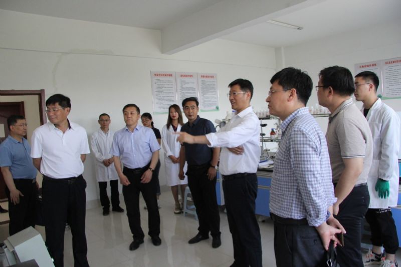 省政府研究室黨組成員、副主任趙昌軍帶隊(duì)到龍港集團(tuán)調(diào)研推動(dòng)“工業(yè)強(qiáng)基”基本情況