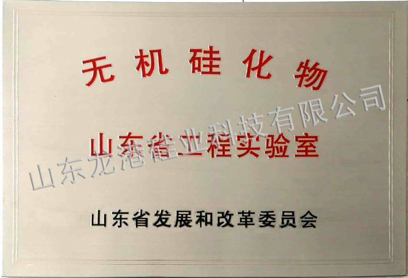山東省無機(jī)硅化物工程實(shí)驗(yàn)室