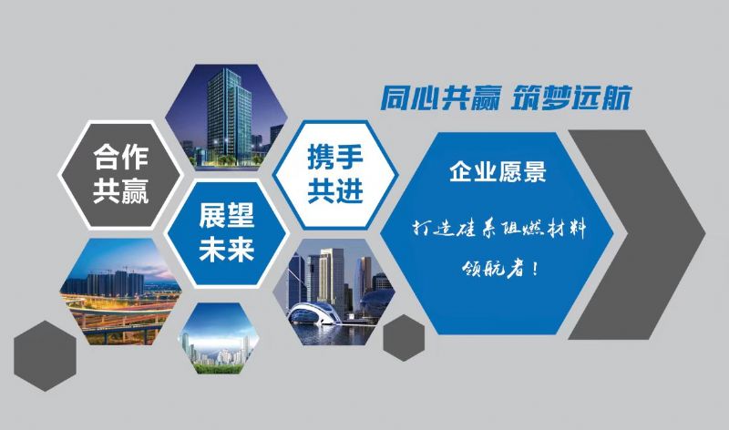 喜報(bào)｜龍港硅業(yè)又獲一項(xiàng)省級(jí)“硬核”獎(jiǎng)！